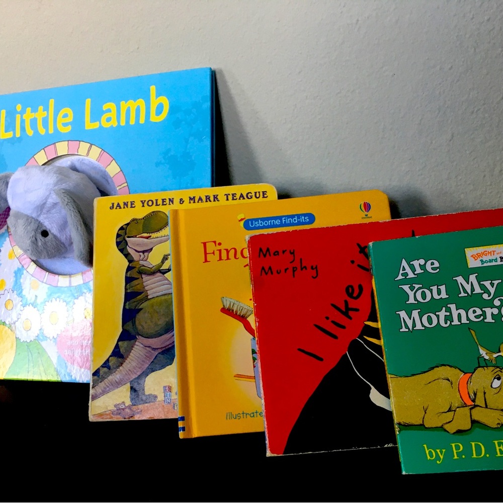 Board Book Bundle!(Lot of 5 books- 2 books "interactive" for active learning!)